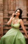 Gayathry Mayoora photo