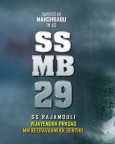 SSMB 29