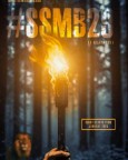 SSMB 29