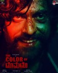The Color Of Tomato