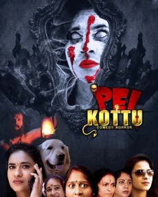 Pei Kottu