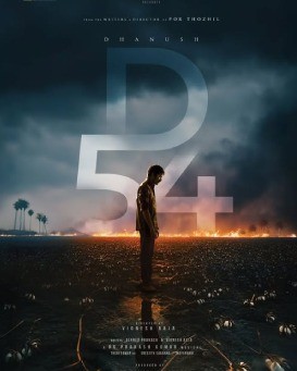 D 54