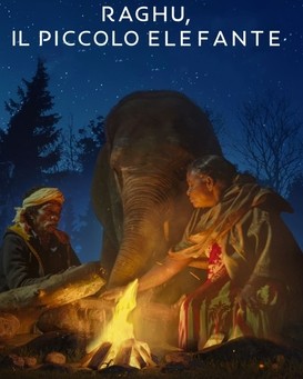 The Elephant Whisperers