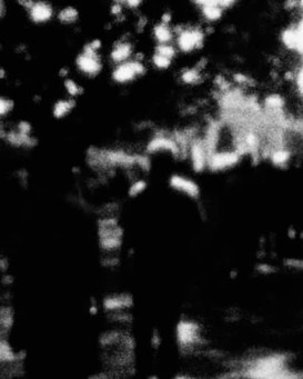 through a looking glass