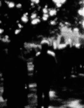 through a looking glass