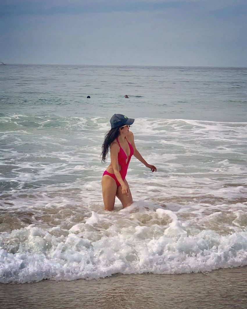 vidya malvade